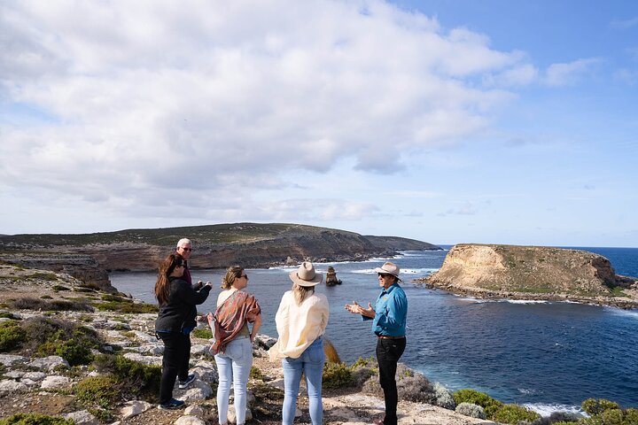 One Day Port Lincoln Tour - Tasting Eyre - Accommodation Adelaide